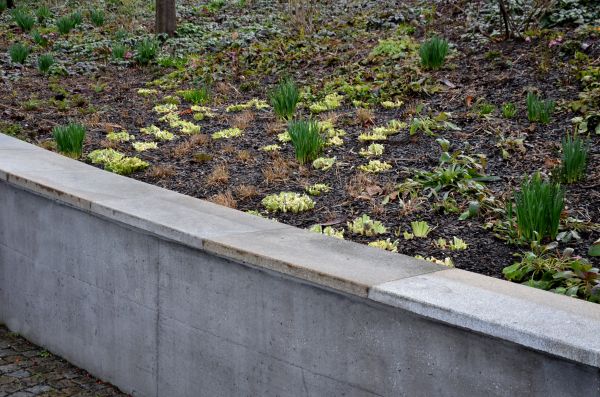 Concrete Walls Pouring Service