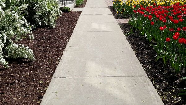 Cost of Sidewalk Slab Replacement in Broomfield
