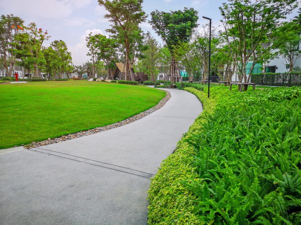 Cost of Cement Walkway Service in Broomfield