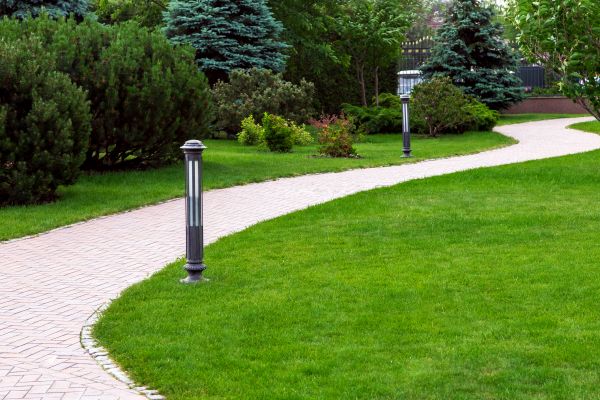 Cost of Backyard Sidewalk Installation in Broomfield