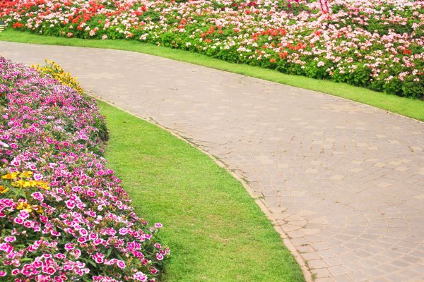 Cost of Concrete Walkway Service in Broomfield