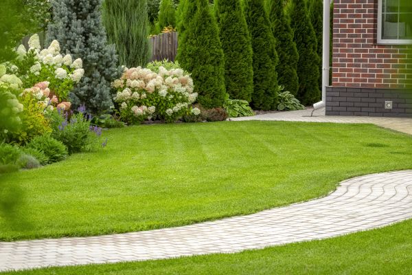 Cost of Landscape Walkway Installation in Broomfield